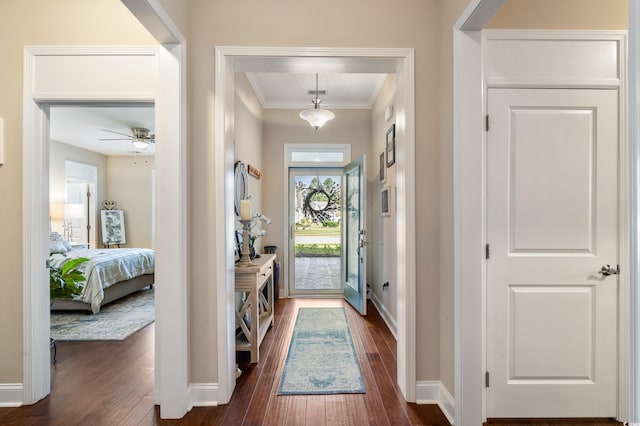 foyer entrance featuring ceiling fan, dark wood-type flooring, and crown molding