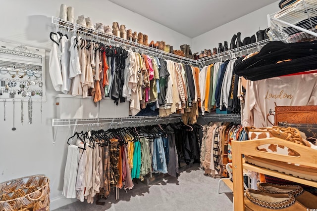 walk in closet with carpet floors