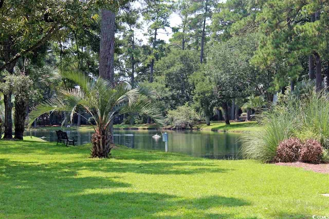 219 Salt Marsh Cir Unit 14A, Pawleys Island, SC 29585 - view of green lawn with a water view