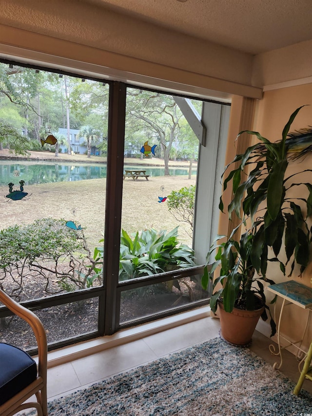 219 Salt Marsh Cir Unit 14A, Pawleys Island, SC 29585 - detailed view of a textured ceiling and nearby water