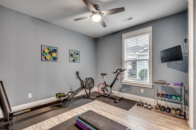 exercise room featuring hardwood / wood-style flooring and ceiling fan