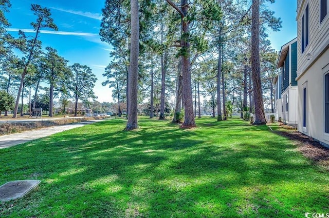 4762 Cloisters Ln, Myrtle Beach, SC 29577 - photo 40