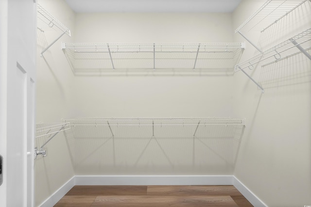 713 9th Ave S, North Myrtle Beach, SC 29582 - walk in closet featuring wood finished floors