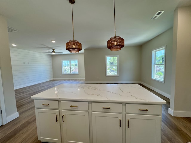 kitchen featuring dark wood finished floors and a wealth of natural light
