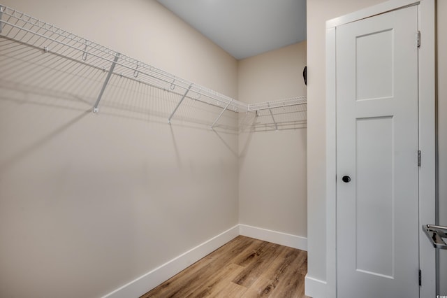 walk in closet with light wood-type flooring