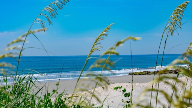 view of water feature featuring a beach view