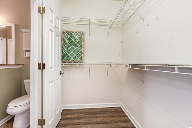 walk in closet featuring dark wood finished floors