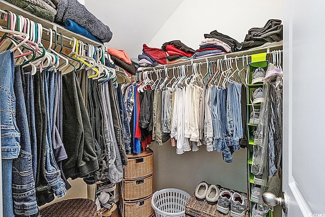 view of spacious closet