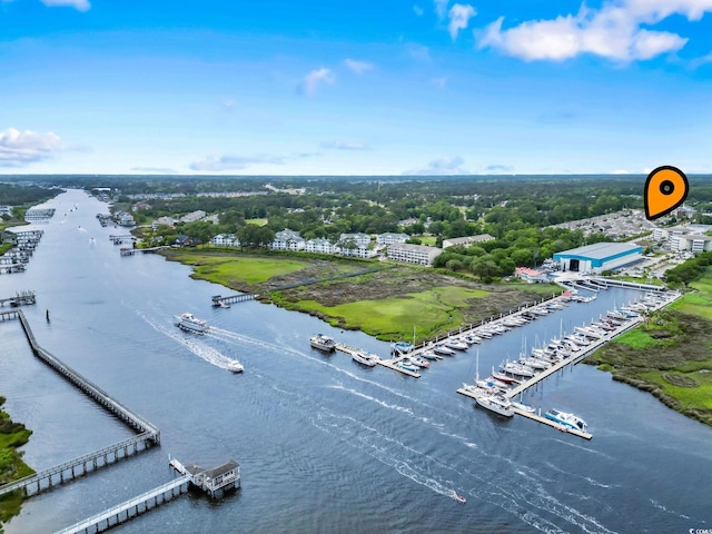 bird's eye view with a water view