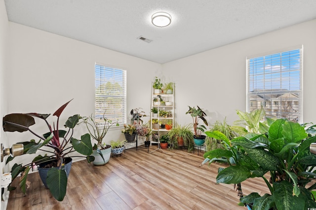 miscellaneous room featuring a textured ceiling, light wood finished floors, and visible vents