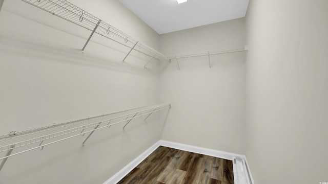 662 Sunnyside Dr Unit 101, Murrells Inlet, SC 29576 - walk in closet with dark wood-type flooring