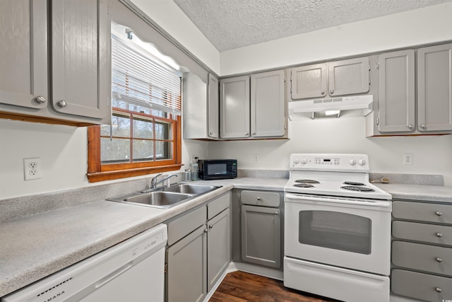 kitchen with under cabinet range hood, white appliances, light countertops, and gray cabinetry