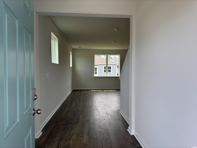 1001 Cavaletti Ct, Myrtle Beach, SC 29588 - hallway featuring dark wood finished floors and baseboards