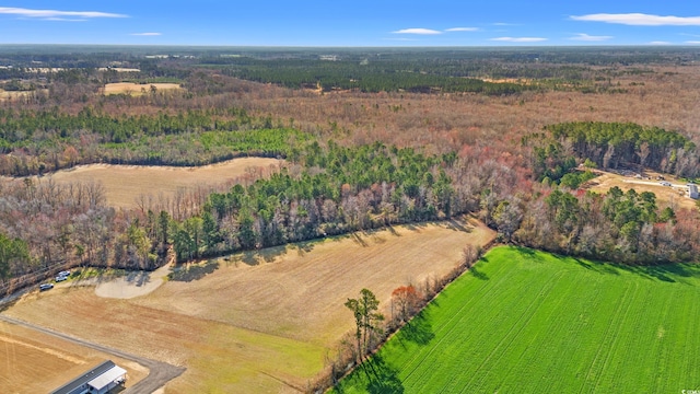 160 Joey Ln, Conway, SC 29526 - photo 5