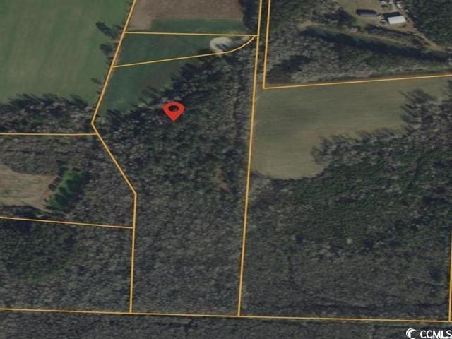 160 Joey Ln, Conway, SC 29526 - photo 1