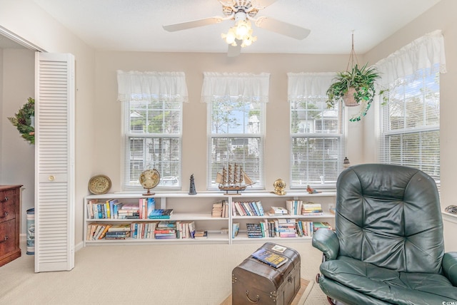 8538 Hopkins Cir Unit E, Surfside Beach, SC 29575 - photo 8