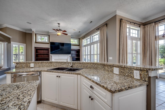 kitchen with crown molding, a wealth of natural light, and a sink