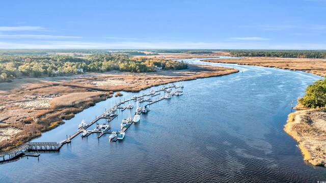 237 Madison Dr, Georgetown, SC 29440 - bird's eye view with a water view