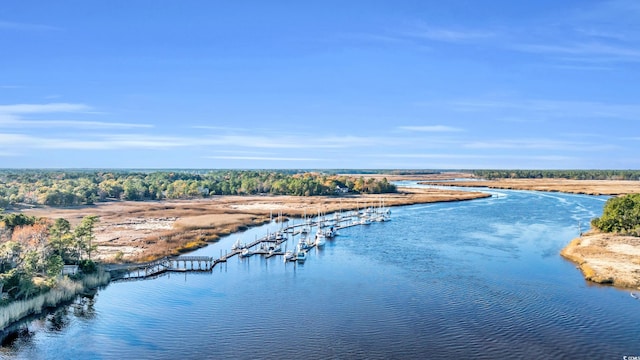 237 Madison Dr, Georgetown, SC 29440 - aerial view with a water view