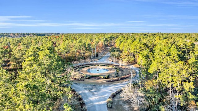 237 Madison Dr, Georgetown, SC 29440 - drone / aerial view with a wooded view