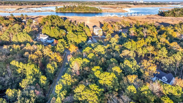 237 Madison Dr, Georgetown, SC 29440 - bird's eye view with a forest view and a water view