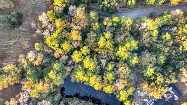 237 Madison Dr, Georgetown, SC 29440 - bird's eye view featuring a view of trees