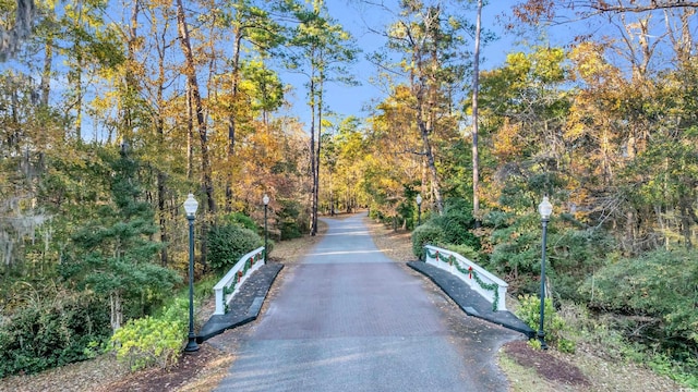 237 Madison Dr, Georgetown, SC 29440 - view of street featuring a forest view and street lighting