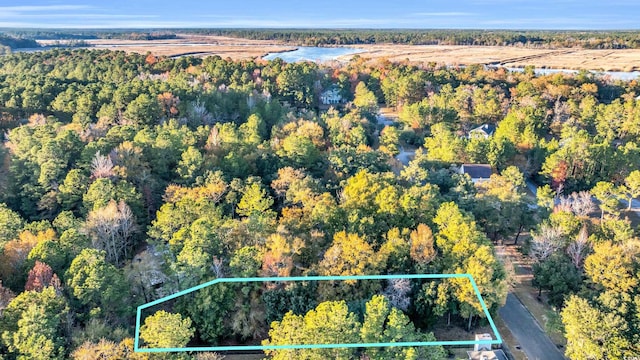 237 Madison Dr, Georgetown, SC 29440 - drone / aerial view with a view of trees and a water view