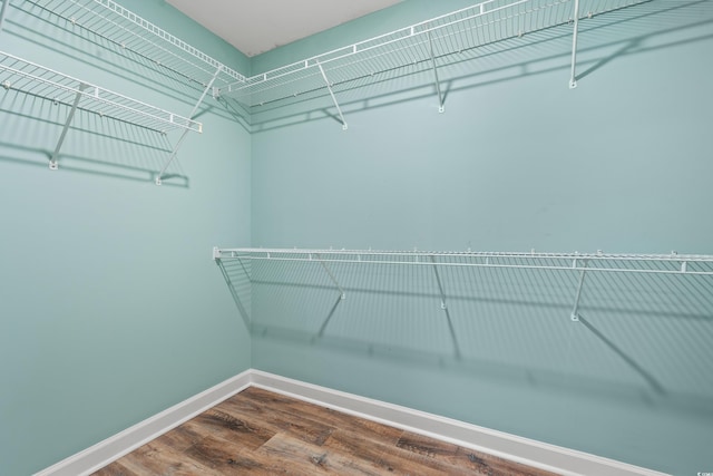 walk in closet featuring wood finished floors