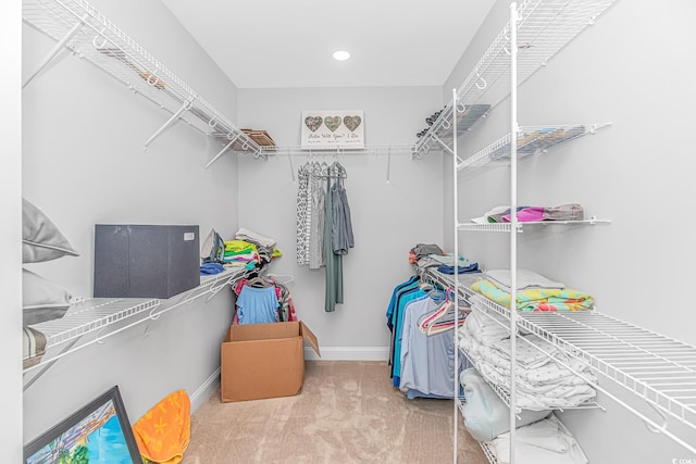 spacious closet featuring carpet floors