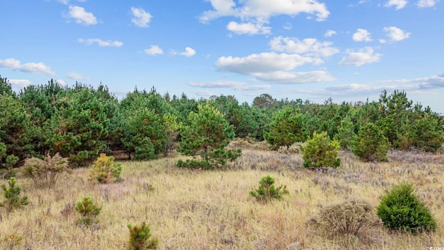 LOT4 Creek Landing Rd, Nichols, SC 29581