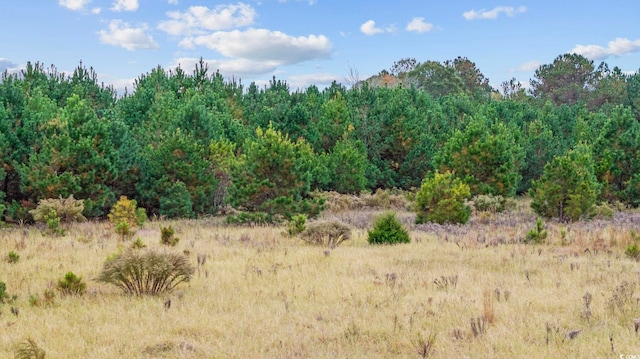 LOT4 Creek Landing Rd, Nichols, SC 29581