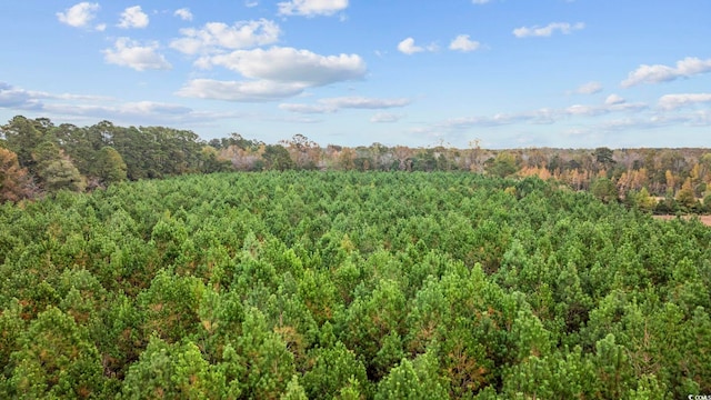 LOT4 Creek Landing Rd, Nichols, SC 29581