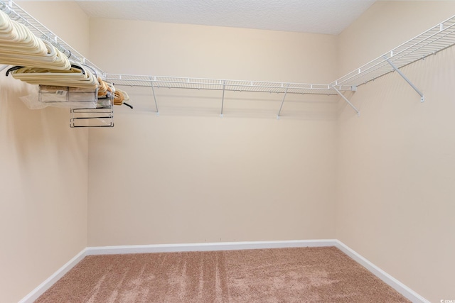 spacious closet with carpet floors