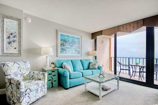 living area featuring carpet flooring