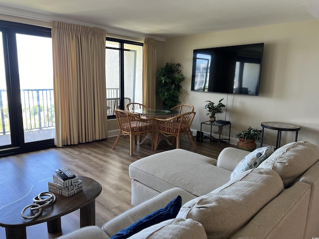 living room featuring wood finished floors