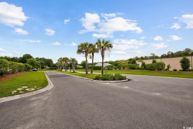 view of street featuring curbs