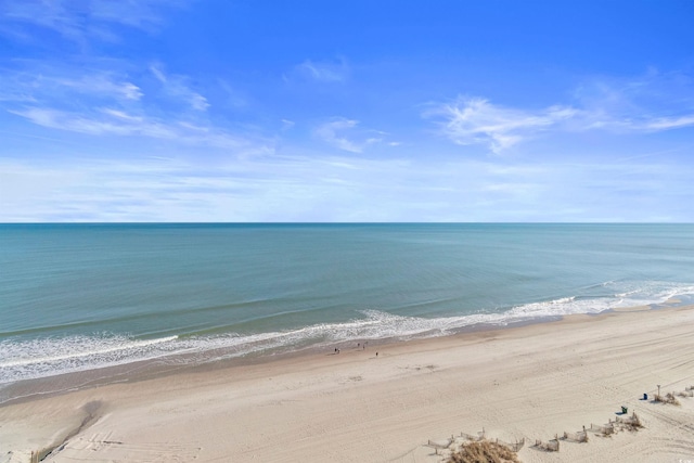 water view featuring a beach view