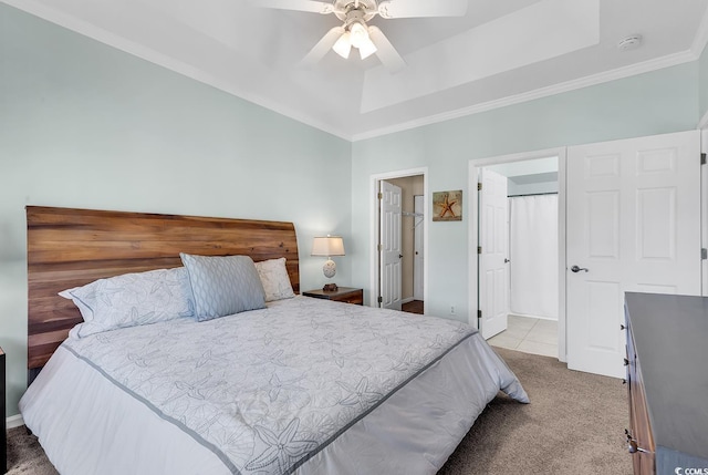 bedroom with ceiling fan, carpet floors, a spacious closet, ornamental molding, and a tray ceiling