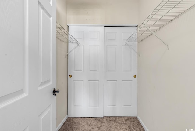 walk in closet featuring carpet flooring