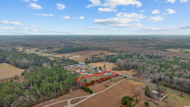 bird's eye view featuring a rural view and a wooded view