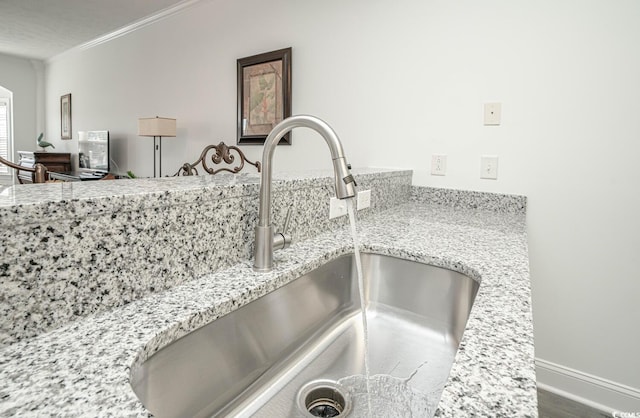 details with light stone countertops, crown molding, baseboards, and a sink