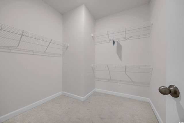 spacious closet with carpet