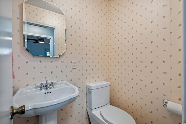 half bath featuring a sink, toilet, and wallpapered walls