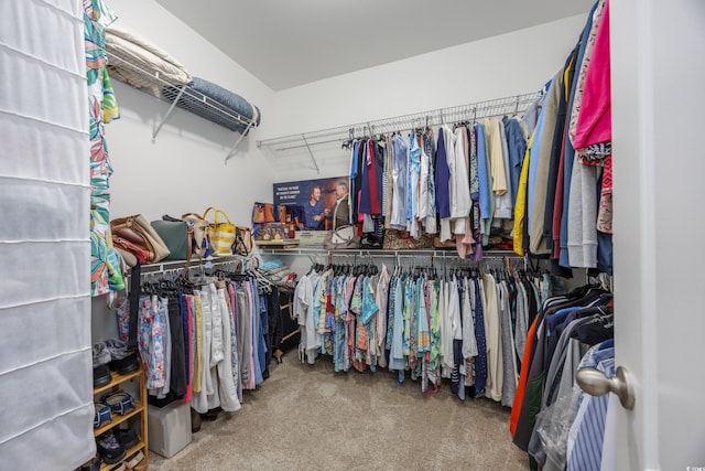 spacious closet with carpet floors