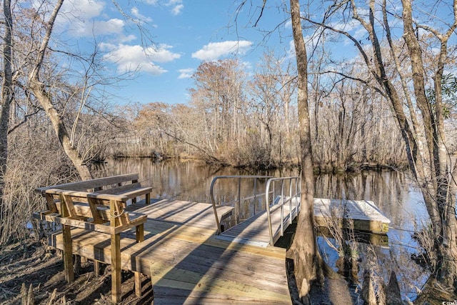 dock area with a water view