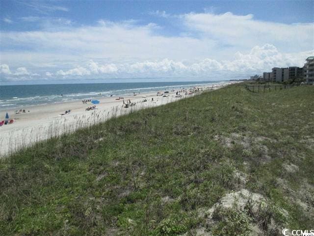 water view with a view of the beach