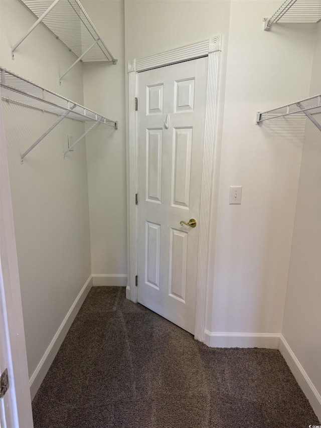 spacious closet with dark carpet