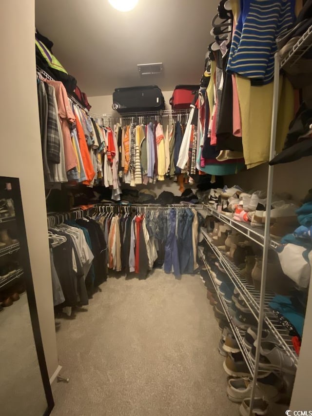 view of walk in closet