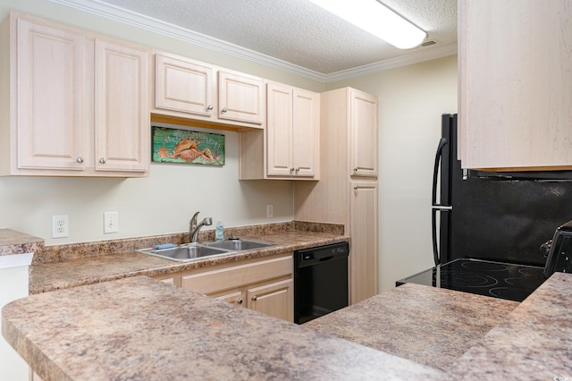 kitchen featuring crown molding, light countertops, a sink, a textured ceiling, and black appliances